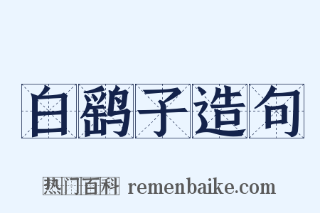 白鹞子造句是什么意思的图片